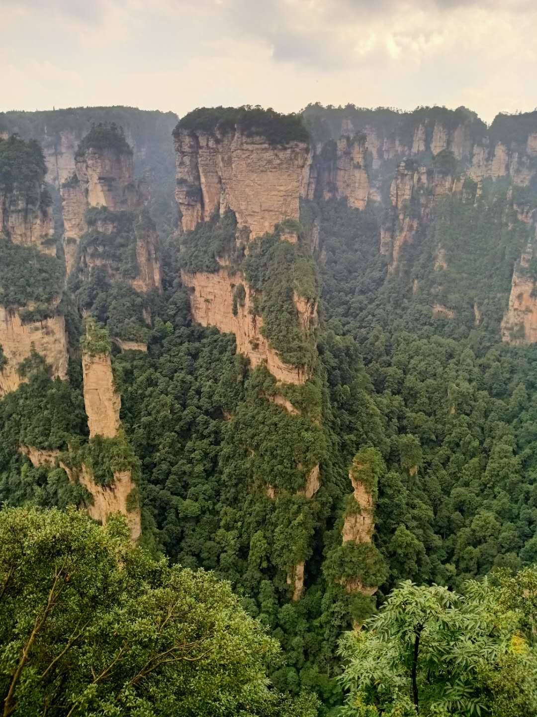 板式換熱器,板式換熱器機組,鈦材板式換熱器,板式冷凝器,全焊接板式換熱器,釬焊板式換熱器,衛(wèi)生級板式換熱器,寬流道板式換熱器,容積式換熱器,盤管換熱,換熱設(shè)備,板式冷卻器,換熱器廠家,換熱設(shè)備